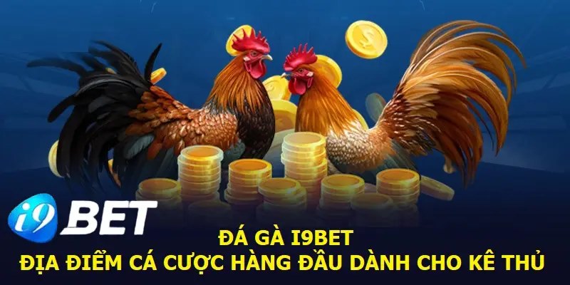 Đặt cược đá gà, tài lộc về nhà ngay tức khắc